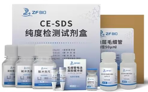 新品上市 | 舟帆生物CE-SDS純度檢測試劑盒